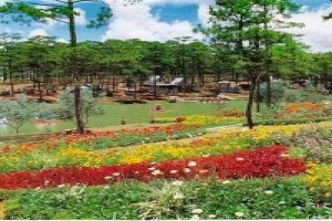 Da Lat flower festival 2012 to open December 30
